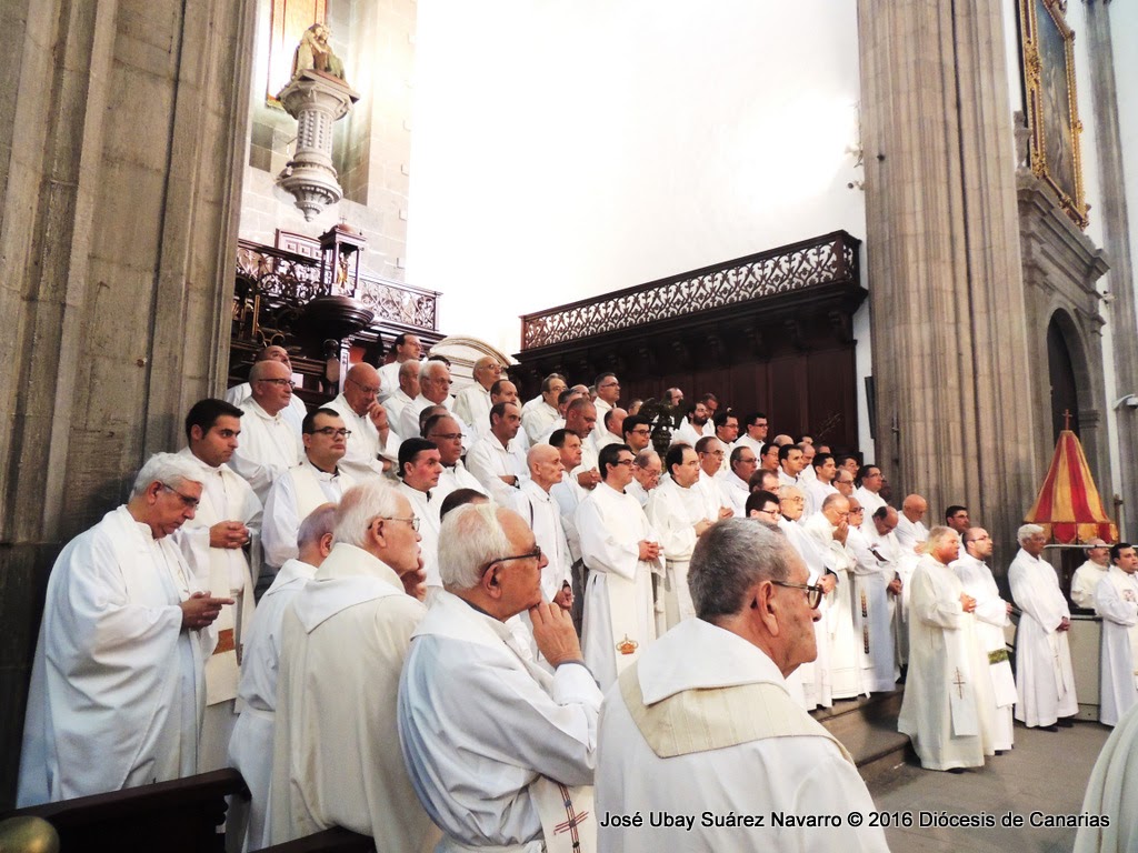 sacerdotes en la catedral