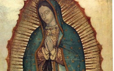 La devoción a la Virgen de Guadalupe, en “Iglesia Noticia”