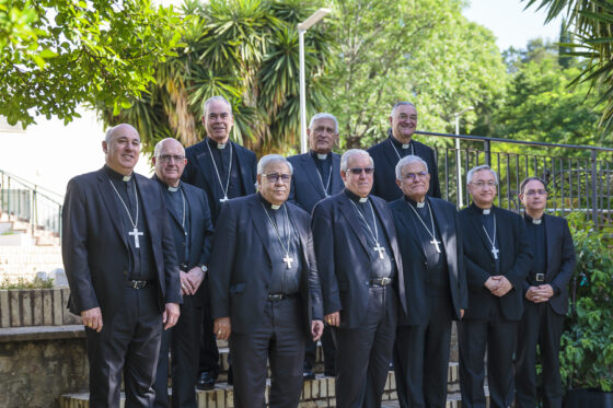 CL Asamblea Ordinaria de los Obispos del Sur de España