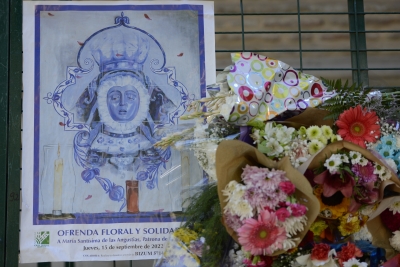 Imágenes de la Ofrenda Floral a la Virgen de las Angustias