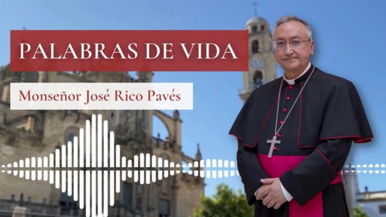 Palabra de vida 2º semana de julio 2023