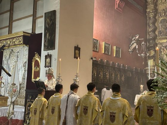 San Vicente Mártir, Nuestra Señora de las Mercedes, Sevilla (4)