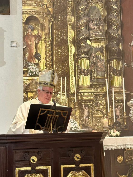 Nuestra Señora de las Mercedes, aniversario, Sevilla, San Vicente Mártir (3)