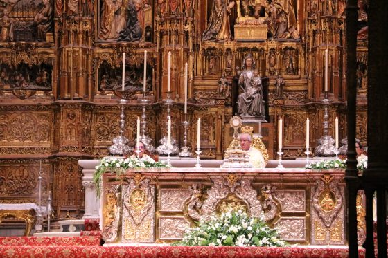Vigilia, oración, mártires, Sevilla, Catedral (15)