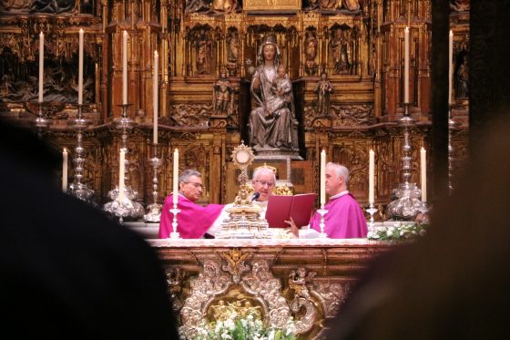 Vigilia, oración, mártires, Sevilla, Catedral (19)