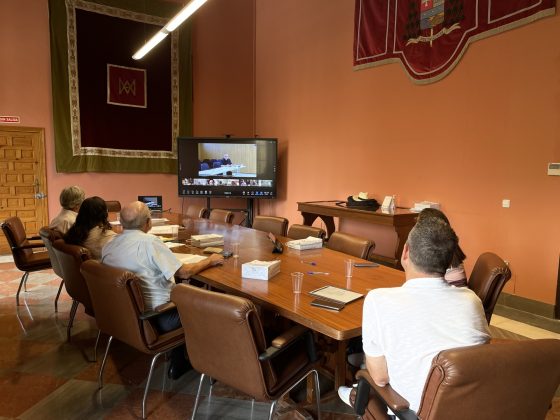 Reunión online de Apostolado Seglar (2)