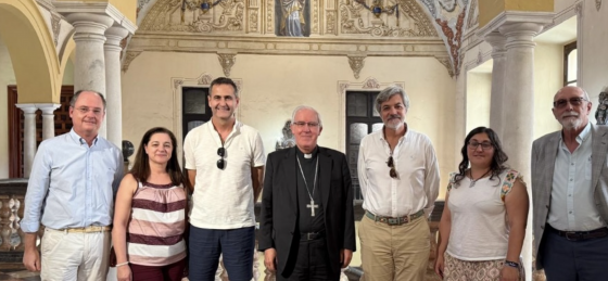 Reunión online de Apostolado Seglar (1)