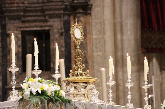 Cientos de jóvenes se congregaron el pasado domingo en la Vigilia de la Inmaculada 2025