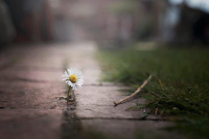 Esperar haciendo lugar