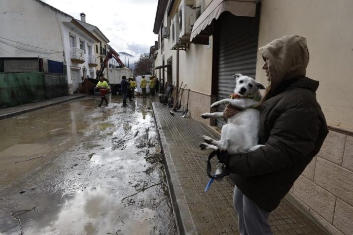 La Iglesia de Málaga, con las víctimas de las inundaciones en el Valle del Guadalhorce