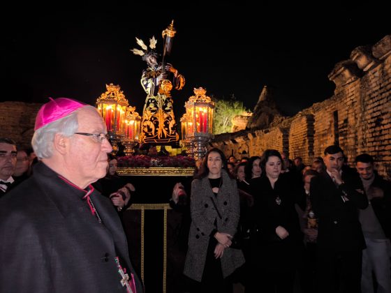 Viacrucis Hermandades Aljarafe-Italica-Monseñor Saiz-feb26 (5)
