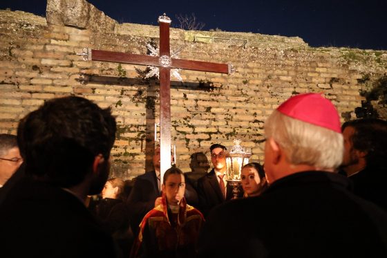 Viacrucis Hermandades Aljarafe-Italica-Monseñor Saiz-feb26 (6)