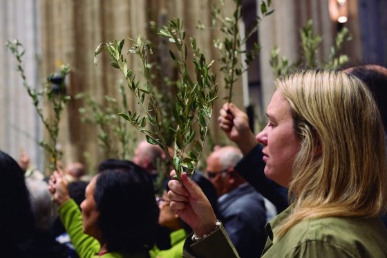‘Domingo de Ramos: no nos quedemos en la puerta’