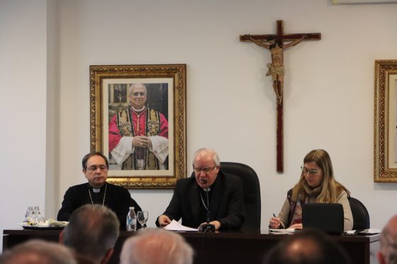 Consejo Diocesano de Pastoral, Sevilla (3)