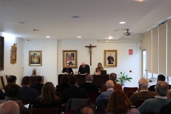 Consejo Diocesano de Pastoral, Sevilla (5)