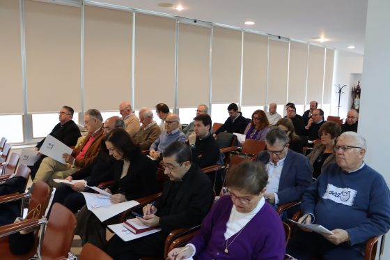 Consejo Diocesano de Pastoral, Sevilla (10)