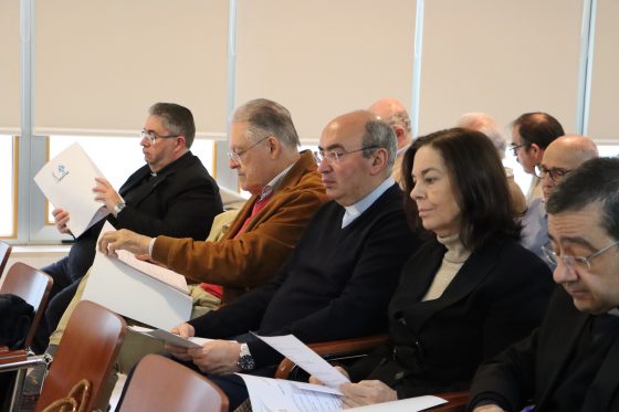 Consejo Diocesano de Pastoral, Sevilla (12)