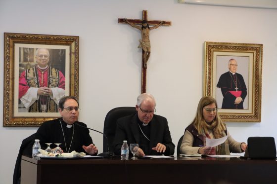Consejo Diocesano de Pastoral, Sevilla (13)