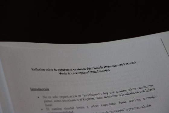 Consejo Diocesano de Pastoral, Sevilla (15)