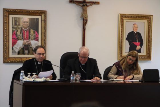 Consejo Diocesano de Pastoral, Sevilla (16)