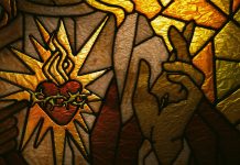 Nota doctrinal de la CEE sobre las emociones