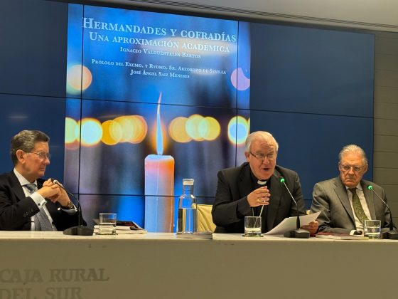 Presentación del libro ‘Hermandades y cofradías’. Una aproximación académica’ (12)