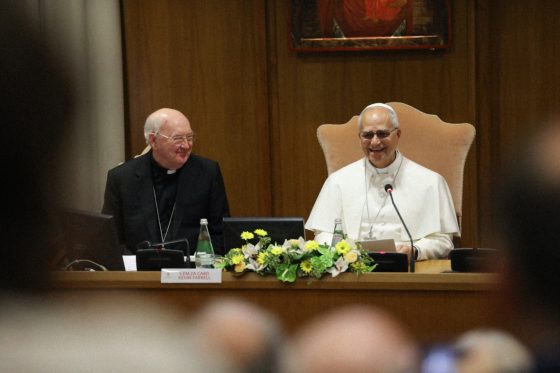 León XIV “Los líderes laicos de la Iglesia deben fomentar la apertura y la comunión” (6)
