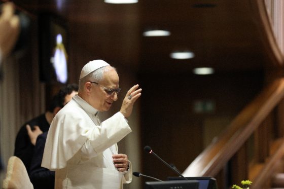 León XIV “Los líderes laicos de la Iglesia deben fomentar la apertura y la comunión” (8)