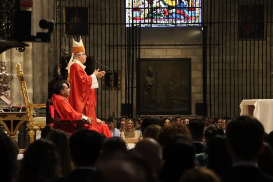 Confirmaciones, Catedral de Sevilla (11)