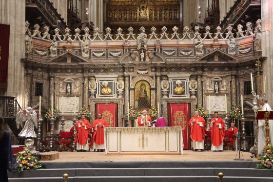 Confirmaciones, Catedral de Sevilla (13)