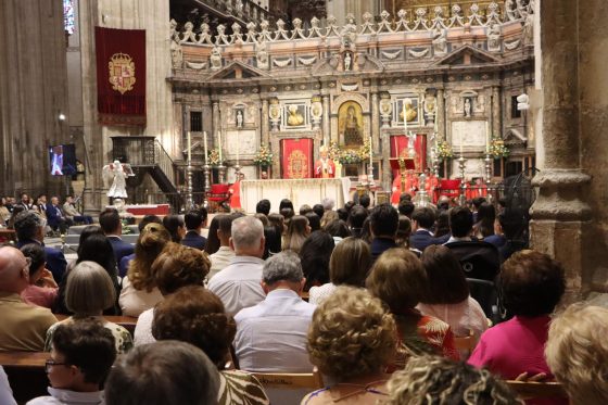 Confirmaciones, Catedral de Sevilla (14)
