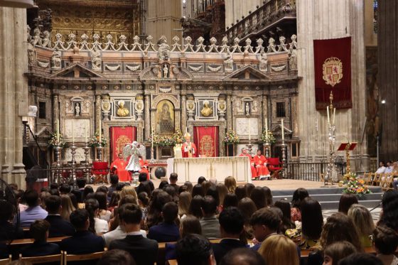 Confirmaciones, Catedral de Sevilla (15)
