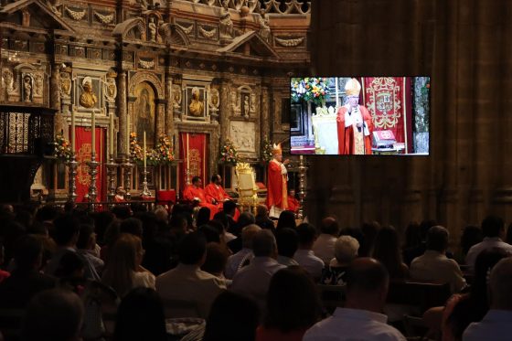 Confirmaciones, Catedral de Sevilla (18)