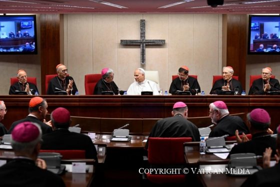 El Papa León XIV visita a los obispos españoles en la CEE (5)