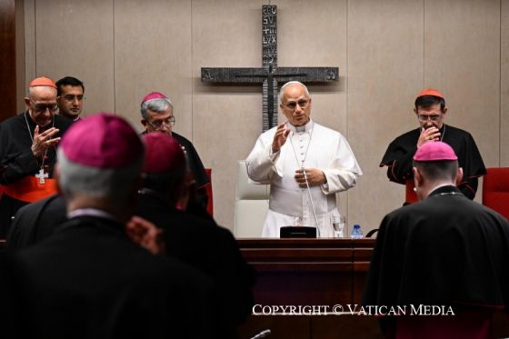 El Papa León XIV visita a los obispos españoles en la CEE (7)