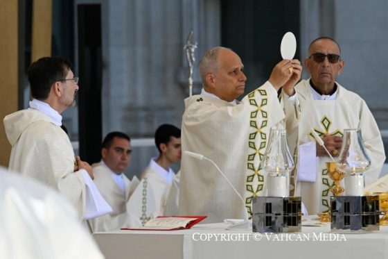 El Papa preside la misa del Corpus Christi ante más de 1,5 millones de personas (8)