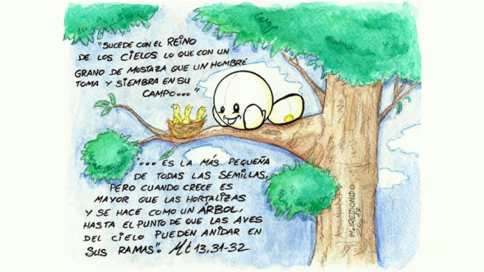 XVI Domingo del Tiempo Ordinario. Ciclo A