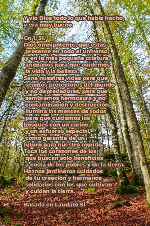 El Movimiento Rural Cristiano antes los incendios forestales