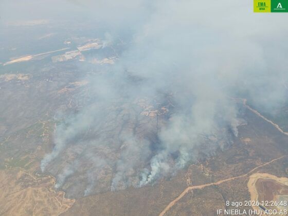 Mensaje del Obispo de Huelva ante los incendios que afectan a la provincia