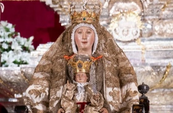 Solemnidad de la Asunción de la Virgen 2026