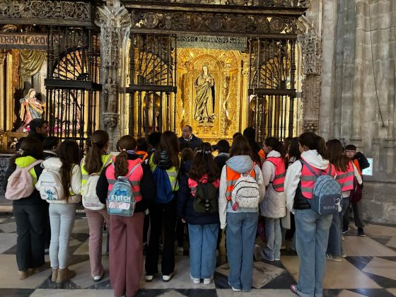 La Catedral de Sevilla retoma en octubre sus visitas pedagógicas para centros educativos