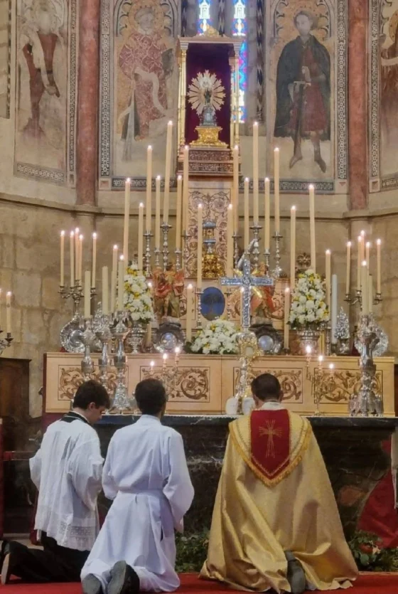 La Virgen de Villaviciosa procesionará por las calles de la ciudad