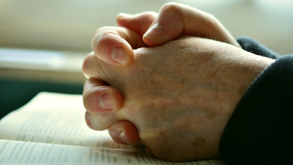 Propósito del nuevo curso: hacer un retiro espiritual