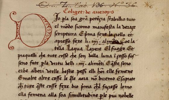 De un encuentro de saberes y siglos: Averroes en la Biblioteca Capitular Colombina