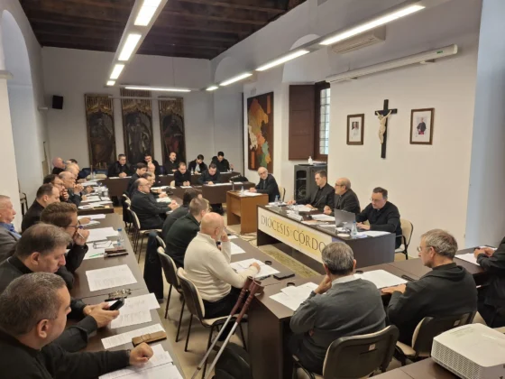 El Consejo de Presbiterio analiza el Primer Anuncio en las parroquias