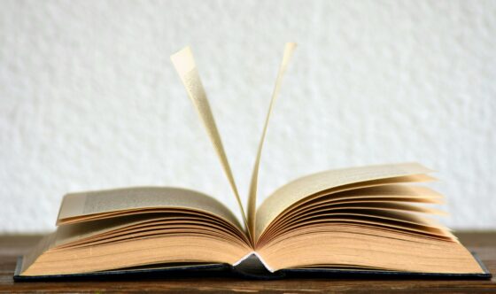 📖 Reseña literaria: ‘Educar para la Contemplación’, de Ricardo Sada