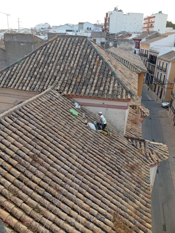 La Cofradía de la Purísima invierte cerca de 5 La Cofradía de la Purísima invierte cerca de 5.000 euros en los tejados del Santuario de la Patrona
